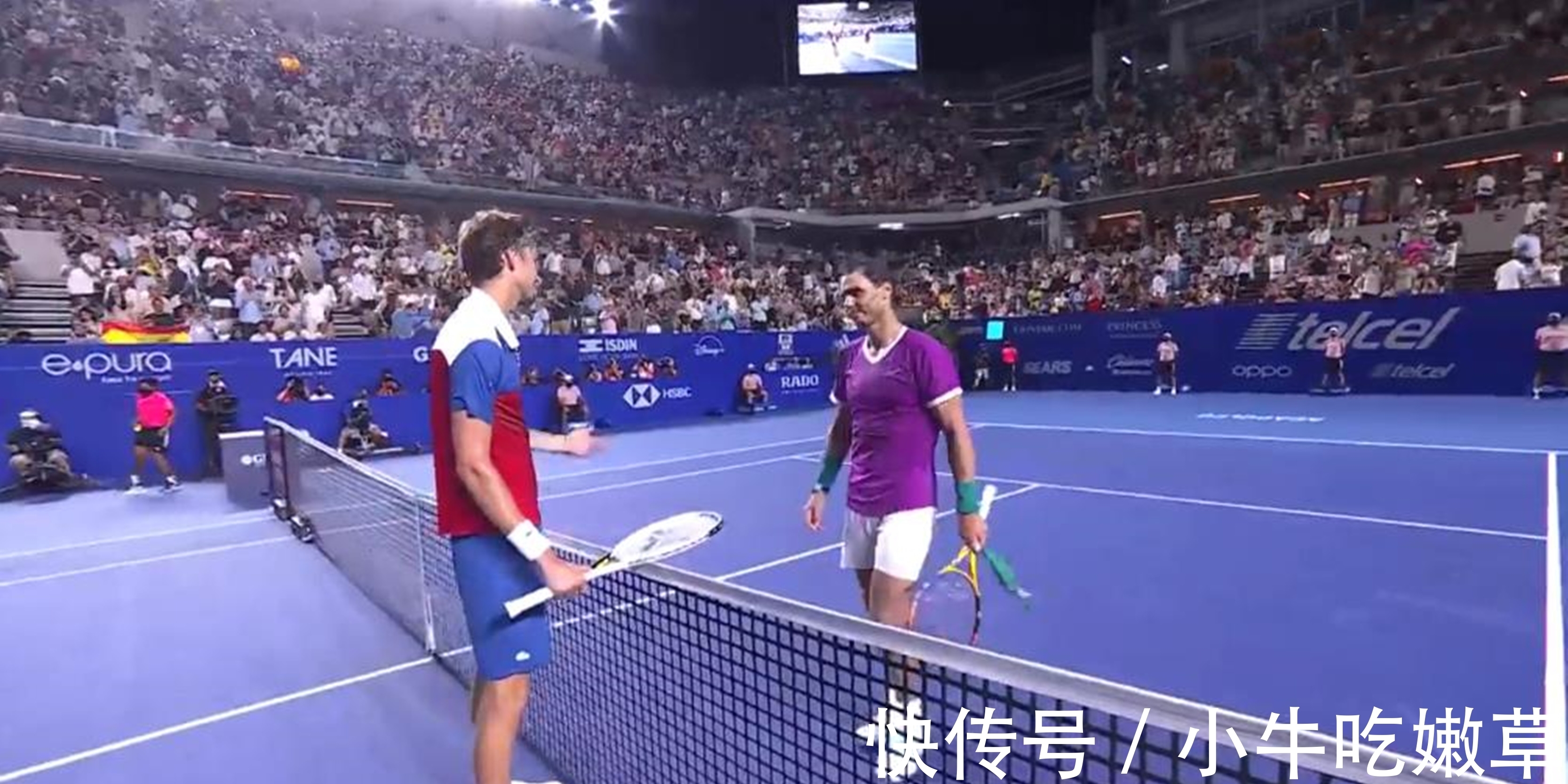 他们在球场 他们在球场